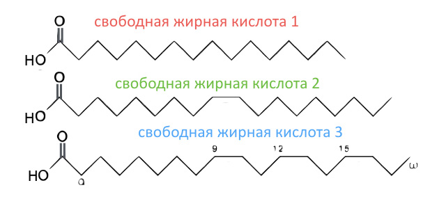 свободная жирная кислота