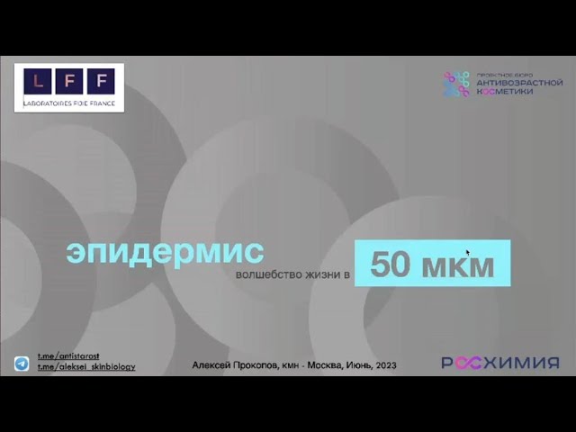 Эпидермис: волшебство жизни в 50 мкм